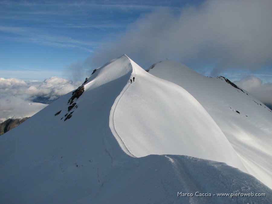 08_Le creste che portano ai 4226 m della vetta del Castore.JPG